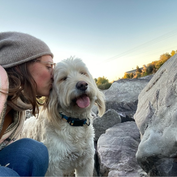 Meet your Posher, Emma - Picture 6 of 7